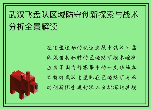 武汉飞盘队区域防守创新探索与战术分析全景解读