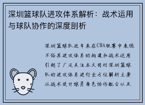 深圳篮球队进攻体系解析：战术运用与球队协作的深度剖析